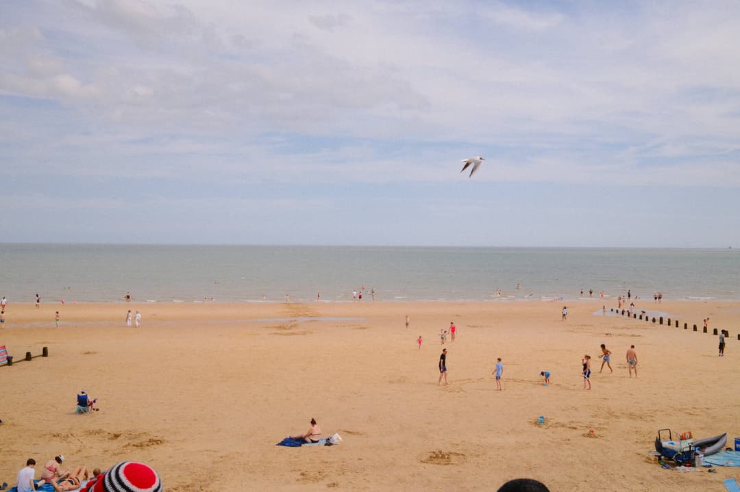 sandy beach with people playing and walking on the sand and a seagull flying